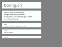 Tablet Screenshot of boring.ch